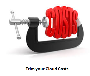 Trim your cloud costs